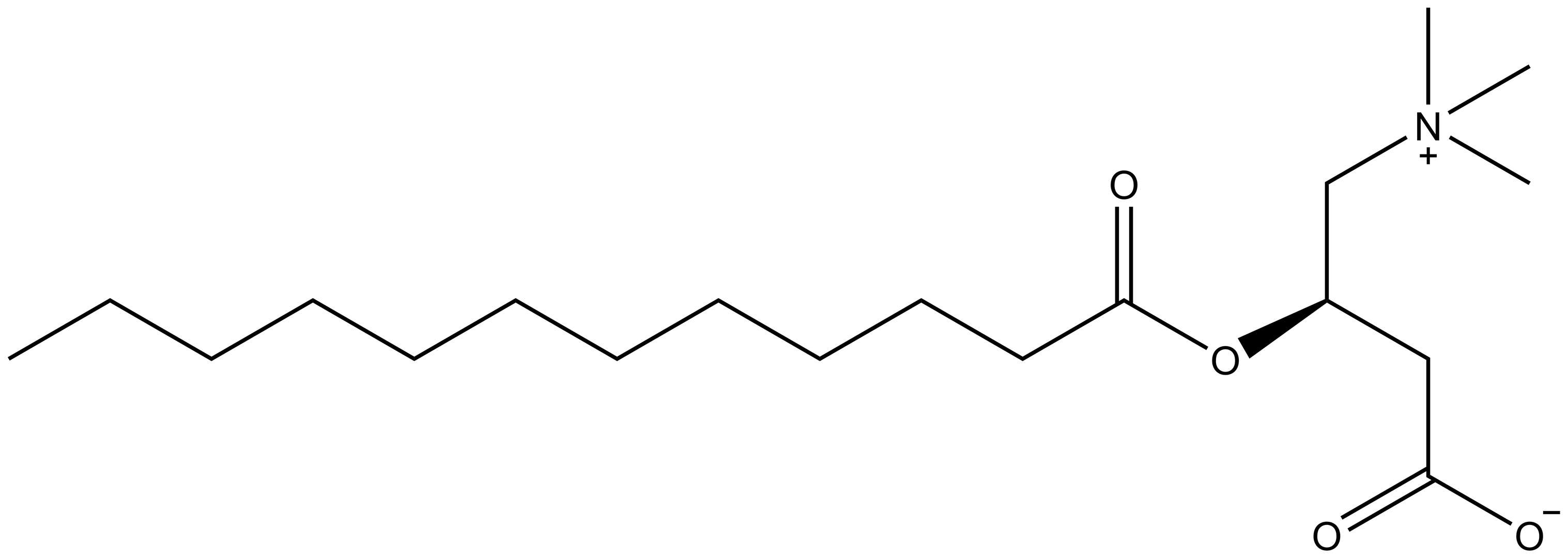 C12 Carnitine