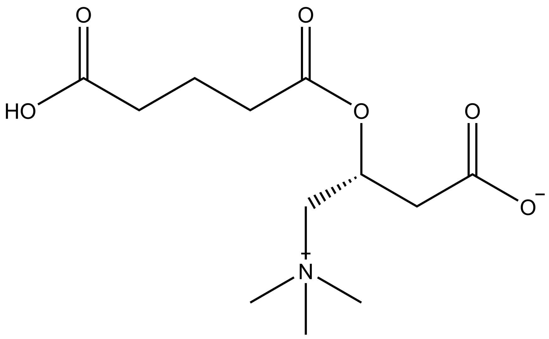 Glutaryl L-Carnitine