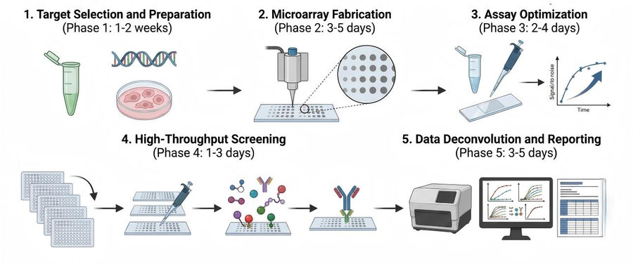 Process of our GPCR microarray-based membrane protein screening service. (Protheragen)