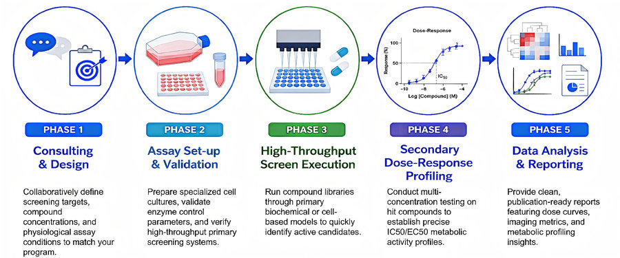 Process of our in vitro anti-obesity drug screening service (Protheragen).