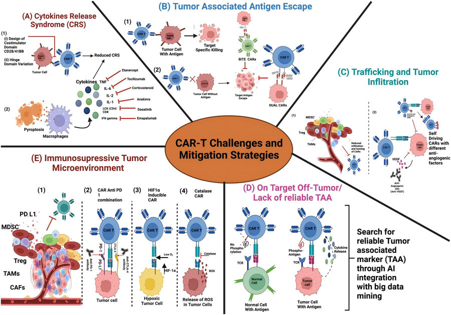 Major limitations restricting CAR-T efficacy and targeted overcoming approaches. (Dagar, et al., 2023)