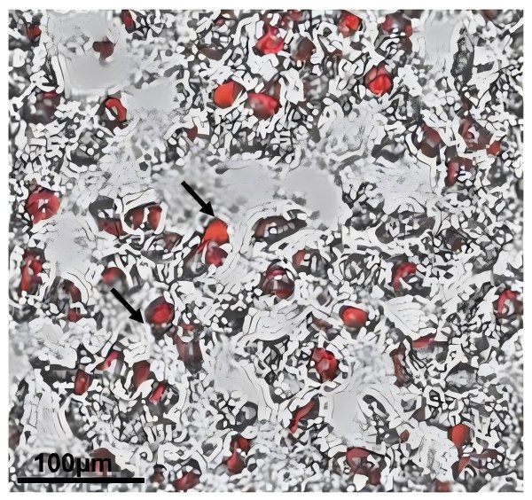 Low-cost feeder-free workflow for hiPSC-iMSC adipogenic and osteogenic differentiation (2023 bio-protocol guide). (Diaz-Hernandez, et al., 2023)