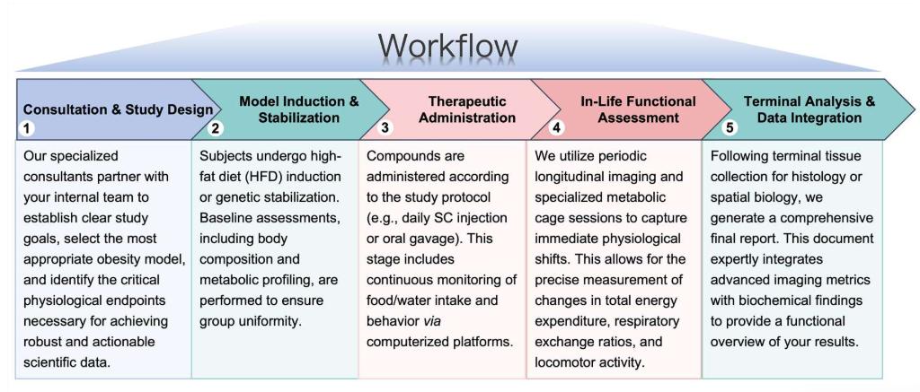 Process of our imaging and function assessment service. (Protheragen)