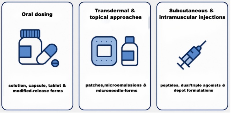 Three optimized administration routes for anti-obesity drugs: oral dosing, transdermal delivery, and injectable formulations. (AI-Protheragen)