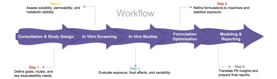 Process of our anti-obesity drug bioavailability service. (Protheragen)