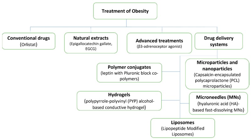 Fig.1 Four advanced drug delivery approaches used to improve bioavailability in obesity treatments. (Ashour, et al., 2023)