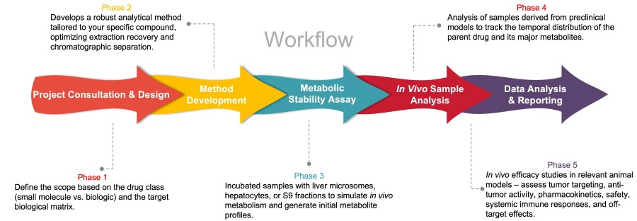 Process of our anti-obesity drug metabolite study service. (Protheragen)