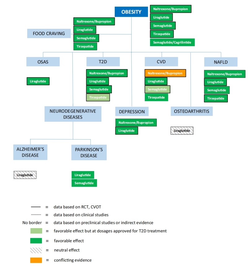Fig.1 This diagram illustrates the connections between obesity and its comorbidities (e.g., food craving, OSAS, T2D, CVD, NAFLD, neurodegenerative diseases, depression, osteoarthritis), alongside anti-obesity drugs (naltrexone/bupropion, liraglutide, semaglutide, tirzepatide, semaglutide/cagrilintide), using line/border styles to indicate evidence type (RCT/CVOT, clinical, preclinical/indirect) and color coding to denote drug effects (favorable, favorable at T2D doses, neutral, conflicting) for each condition. (Guglielmi, et al., 2023)