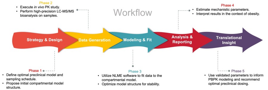 Process of our anti-obesity compartmental PK analysis. (Protheragen)