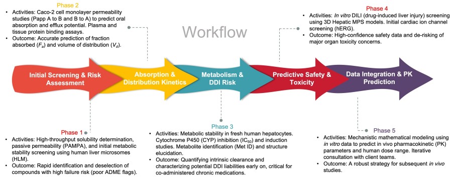 Process of our in vitro ADME workflow. (Protheragen)