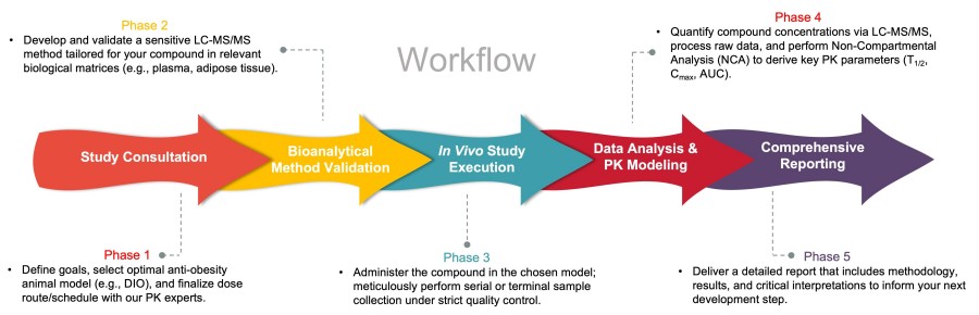 Process of our in vivo ADME workflow. (Protheragen)