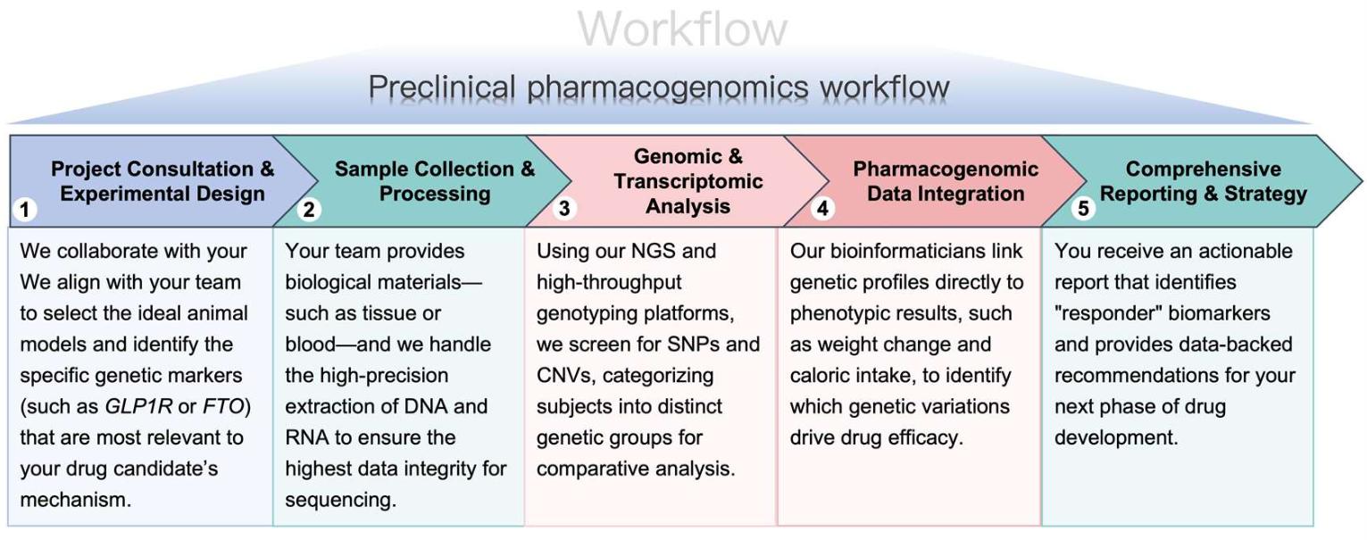 Process of our preclinical pharmacogenomics workflow. (Protheragen)