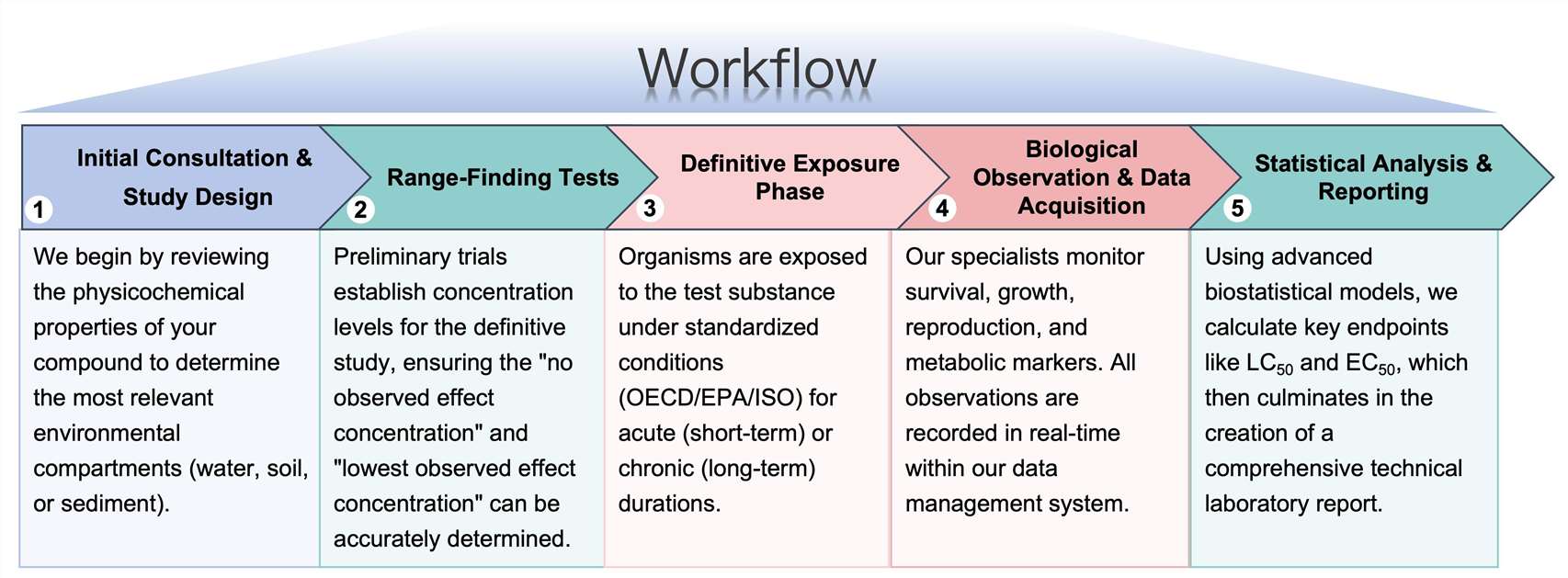 Process of our ecotoxicity study service. (Protheragen)