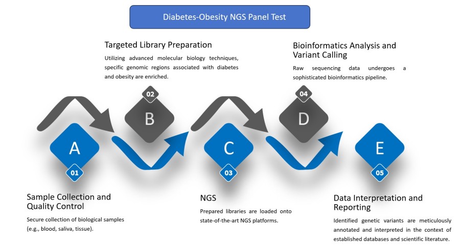 Workflow for diabetes-obesity NGS panel test service. (Protheragen)