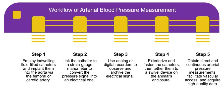 Workflow of arterial blood pressure measurement. (Protheragen)