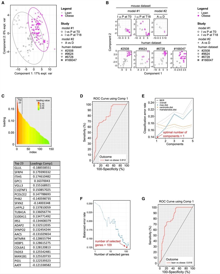 Fig.1 Multi-panel figure (Figure 6) showing cross-species validation of obesity-predictive genes: (A) PCA clustering separates lean (purple) vs. obese (pink) samples across mouse/human datasets; (B) species-specific component plots; (C) top 23 gene loadings (e.g., GLUL, SFRP4) driving classification; (D/G) ROC curves with AUC=0.812/0.818 (high prediction accuracy); (E/F) model optimization (109 genes, low error rate). This visual demonstrates that a mouse-derived gene signature robustly discriminates lean vs. obese humans, supporting translational obesity biomarkers. (Jousse, et al., 2025)