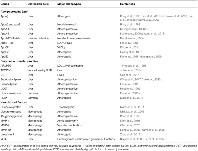 Table 1: Key transgenic rabbit models for studying human lipoprotein metabolism and atherosclerosis. columns: genes (grouped into apolipoproteins, enzymes/transfer proteins, vascular cell factors), expression cells (e.g., liver, macrophage), major phenotypes (e.g., atherogenic, atheroprotective, changes in lipoprotein levels), and references. The table lists specific transgenes, their expression locations, functional outcomes relevant to human lipoprotein function/atherosclerosis, and corresponding research citations. (Fan, et al., 2021)