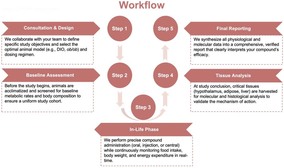 Process of our neuroendocrine and metabolic regulation analysis service. (Protheragen)