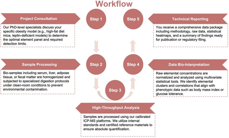 Process of our elementomics service. (Protheragen)