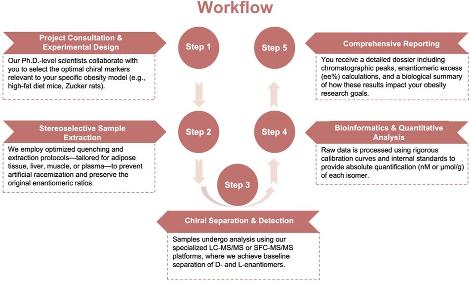 Process of our chiral metabolite quantification service. (Protheragen)