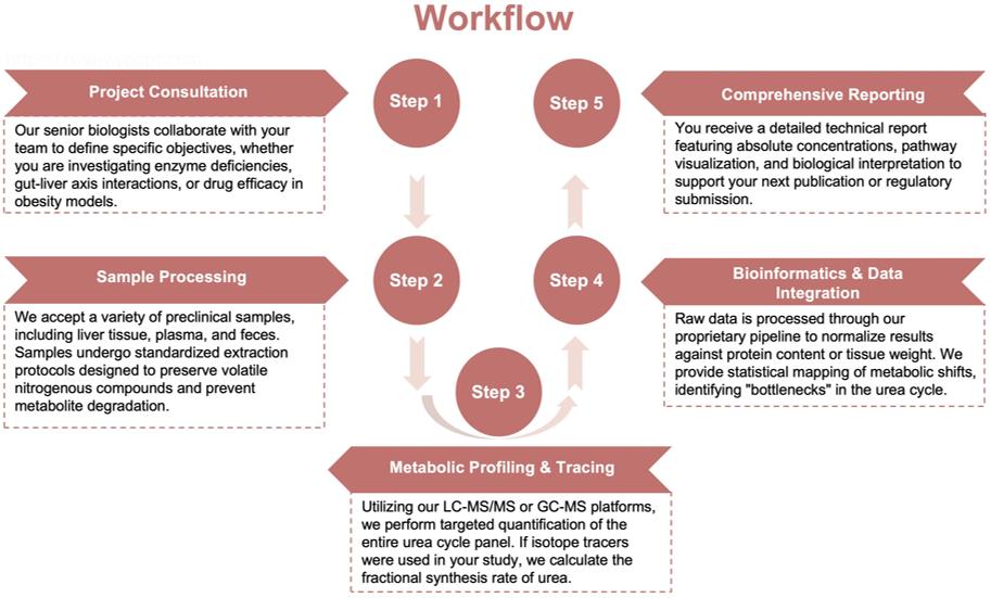 Process of our urea metabolism analysis service. (Protheragen)