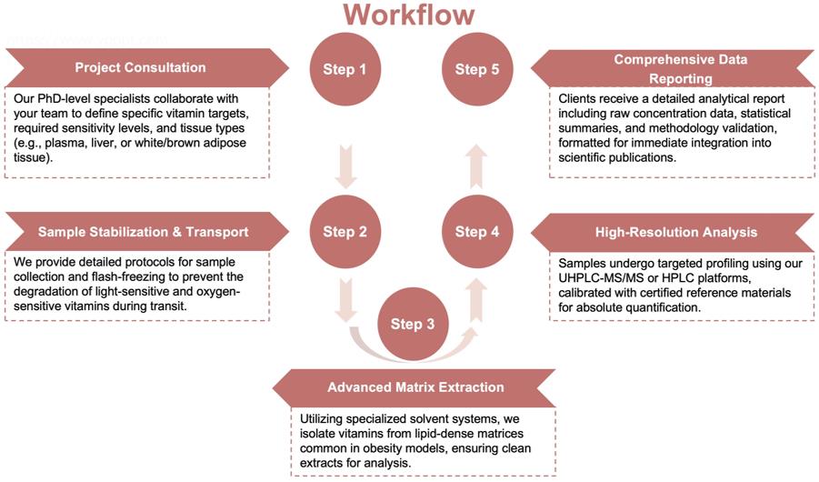Process of our vitamin analysis service. (Protheragen)