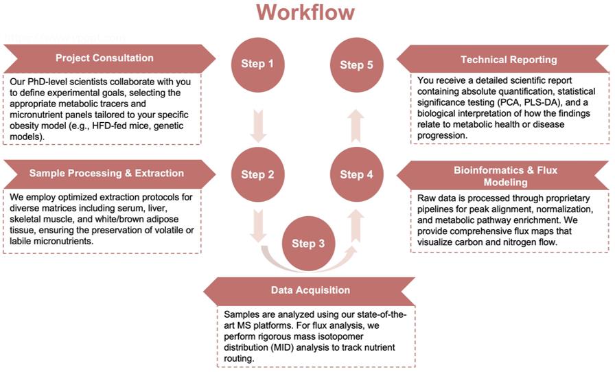 Process of our metabolic mechanism and micronutrition analysis service. (Protheragen)