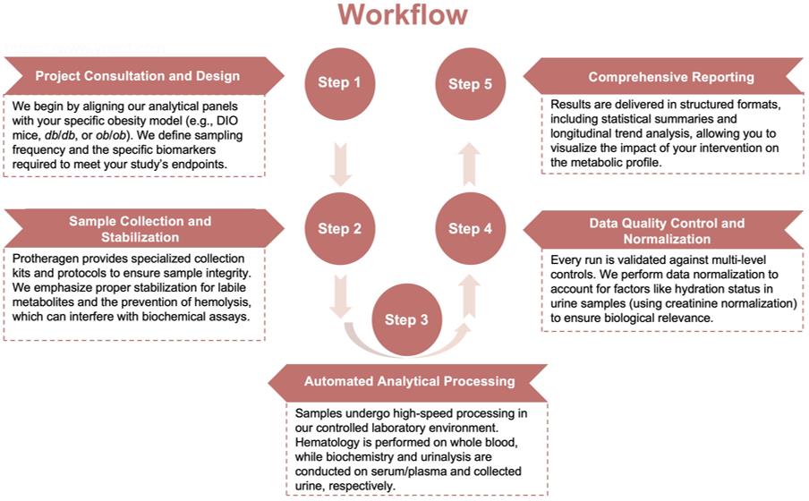 Process of our basic hematology, biochemistry, and urinalysis service. (Protheragen)