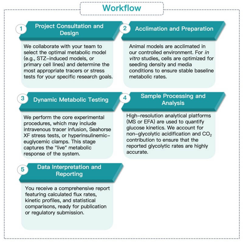 Process of our glucose metabolic dynamics and rate analysis. (Protheragen)