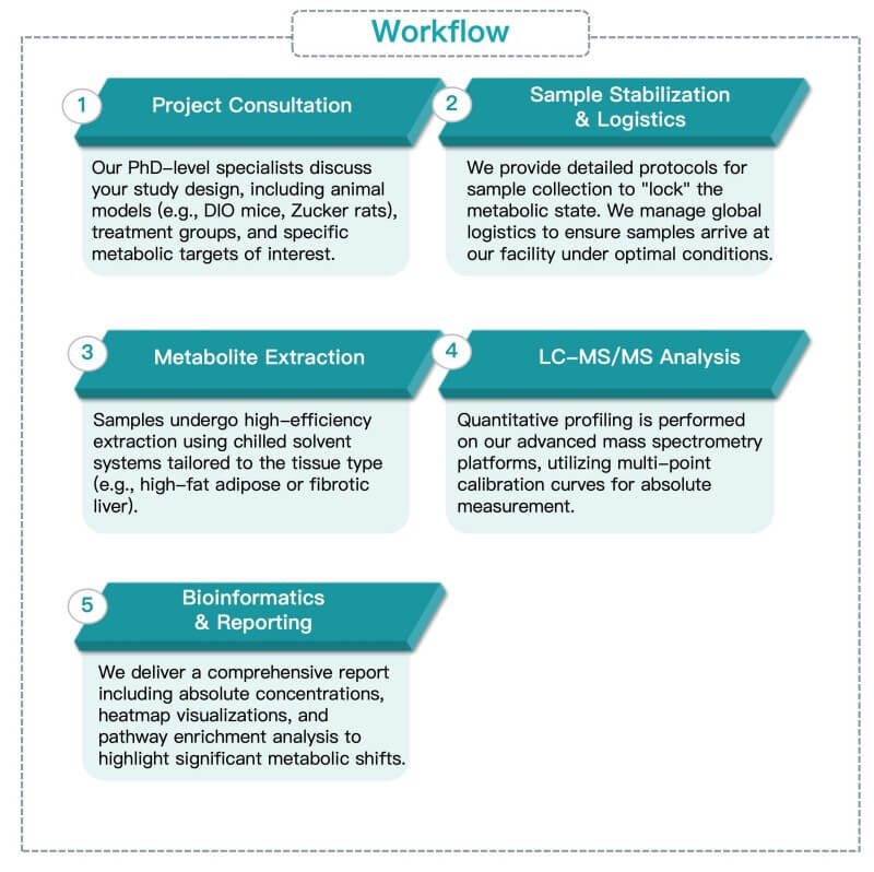 Process of our TCA metabolite profiling service. (Protheragen)