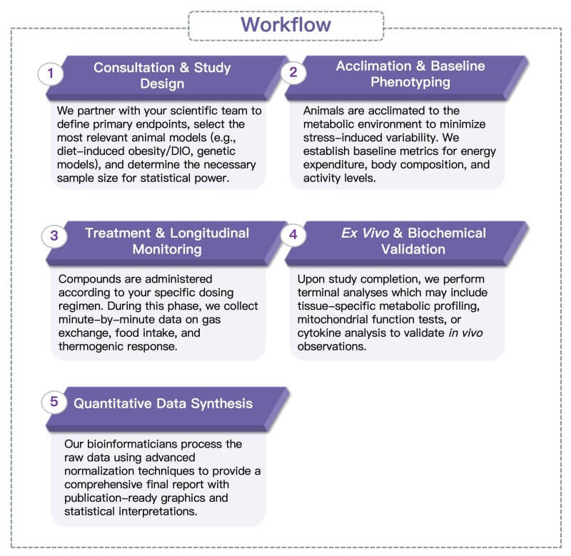 Process of our energy metabolism quantitative analysis service. (Protheragen)