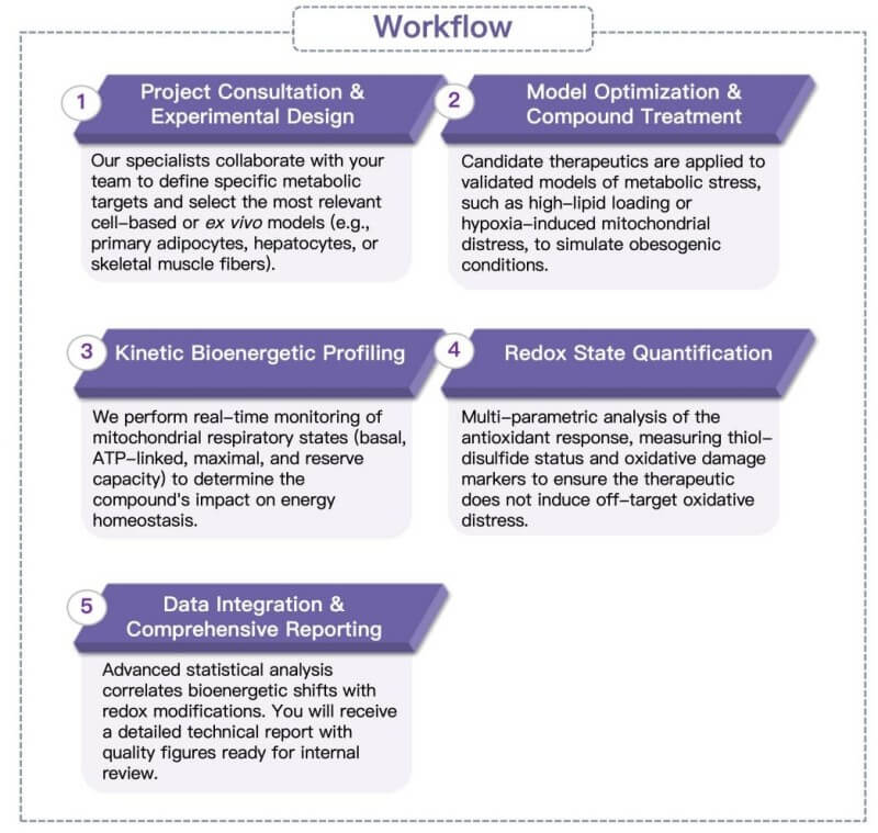 Process of our cellular redox and energy homeostasis analysis service. (Protheragen)