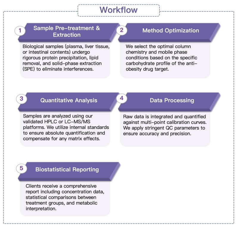 Process of our one carbon metabolism analysis service. (Protheragen)