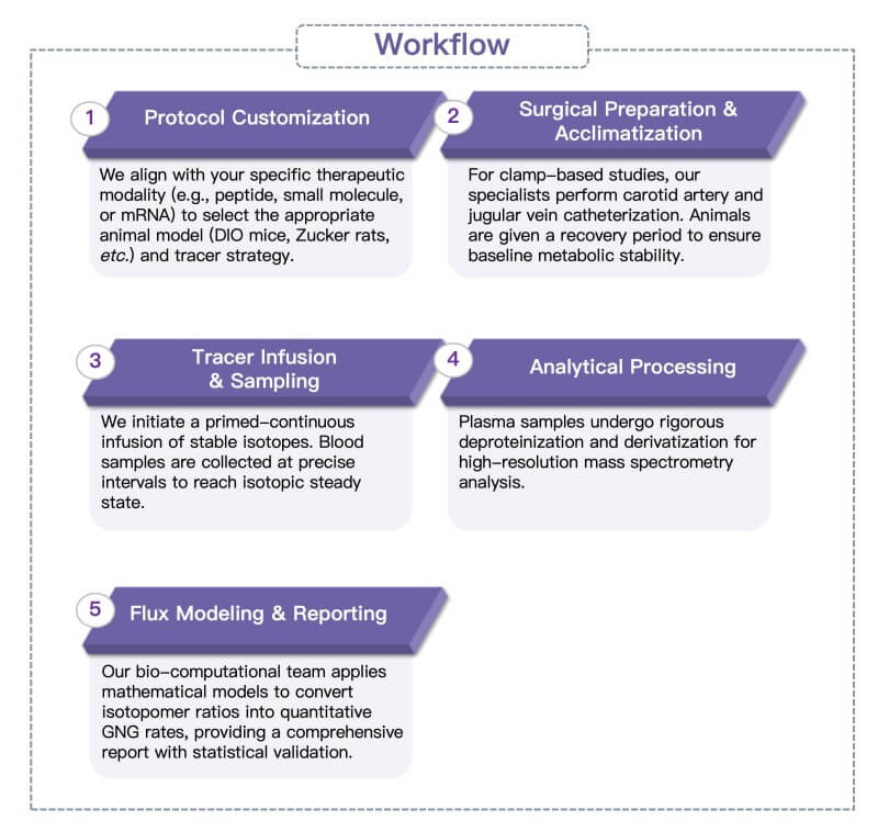 Process of our gluconeogenesis assessment service. (Protheragen)