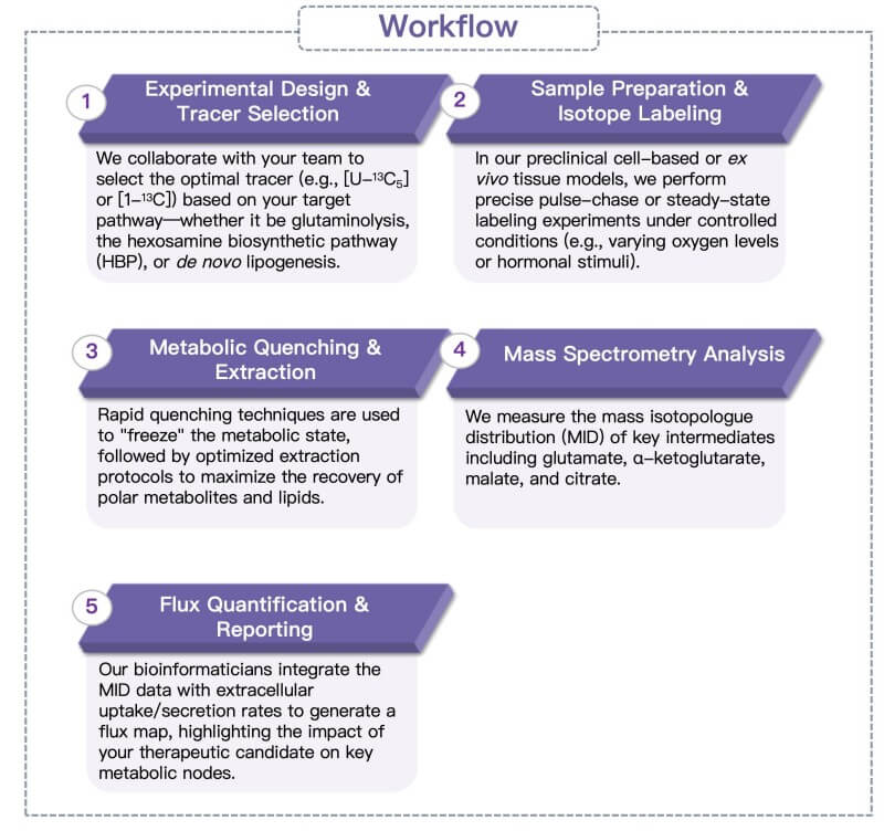 Process of our glutamine metabolic flux analysis service. (Protheragen)