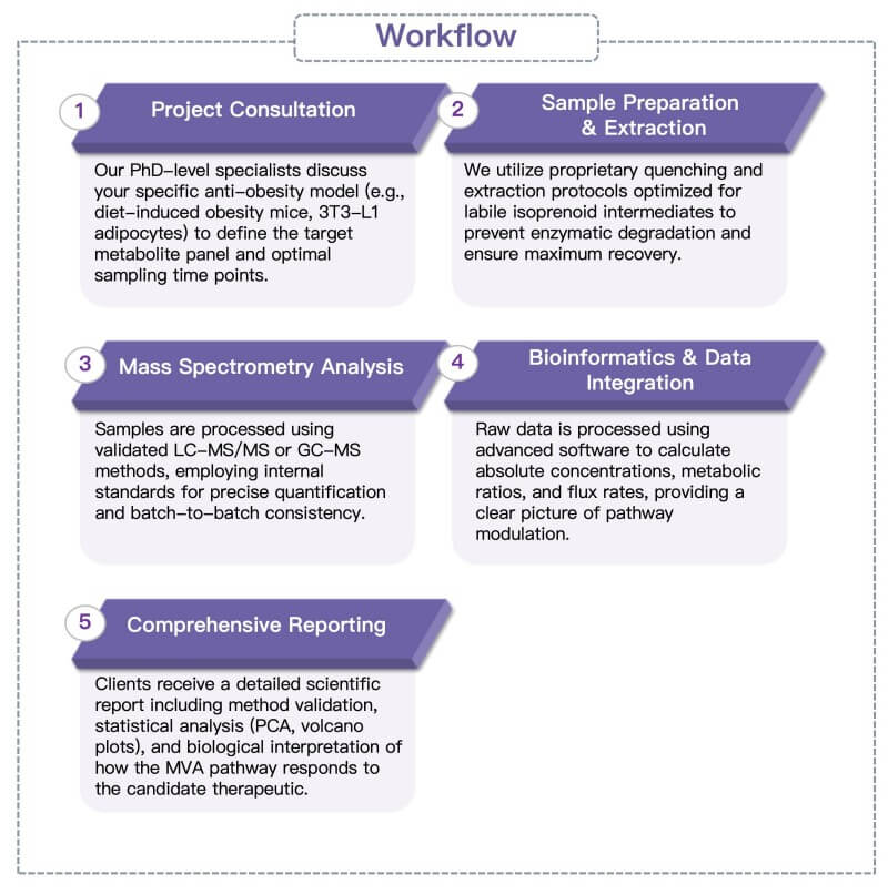 Process of our mevalonate and isoprenoid pathway analysis service. (Protheragen)