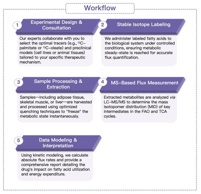 Process of our fatty acid oxidation metabolic flux analysis service. (Protheragen)