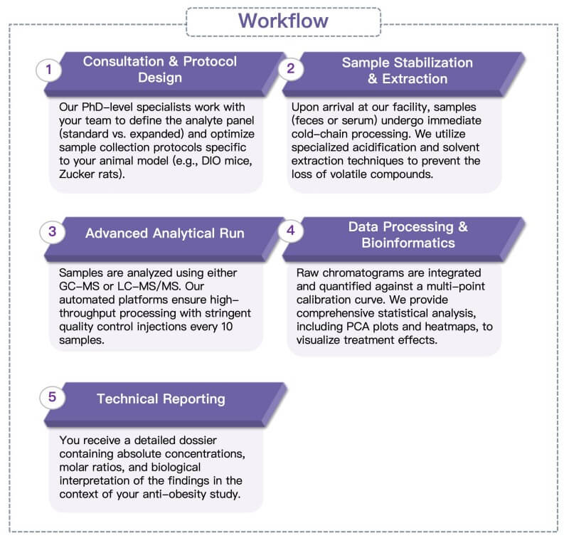 Process of our short-chain fatty acid analysis service. (Protheragen)