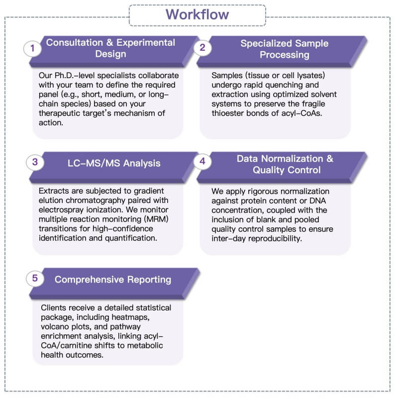 Process of our comprehensive acyl-CoA & acylcarnitine profiling service. (Protheragen)