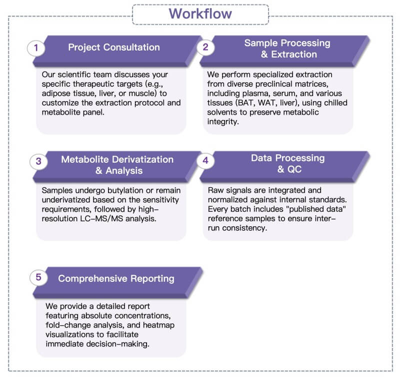 Process of our acylcarnitine profile analysis service. (Protheragen)