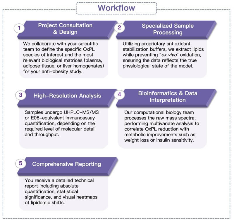 Process of our oxidized phospholipid analysis service. (Protheragen)