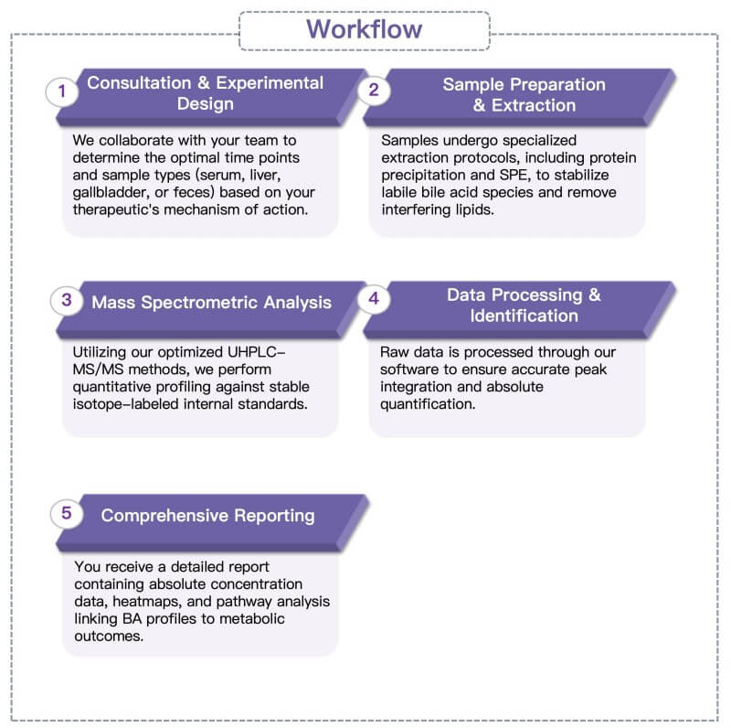 Process of our oxidized phospholipid analysis service. (Protheragen)