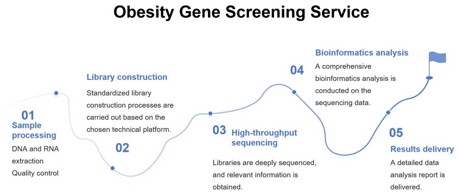 Process of our obesity gene screening service. (Protheragen)