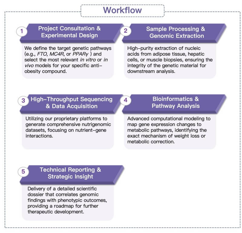 Process of our obesity nutrigenomic service. (Protheragen)