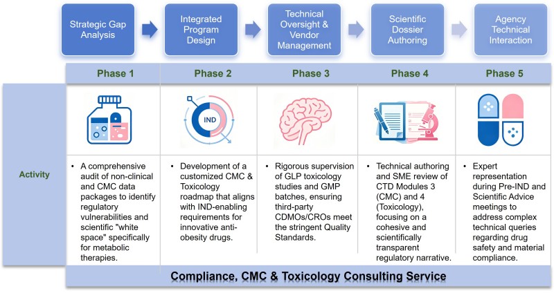 Our clinical development strategy & medical writing service flowchart. (Protheragen)