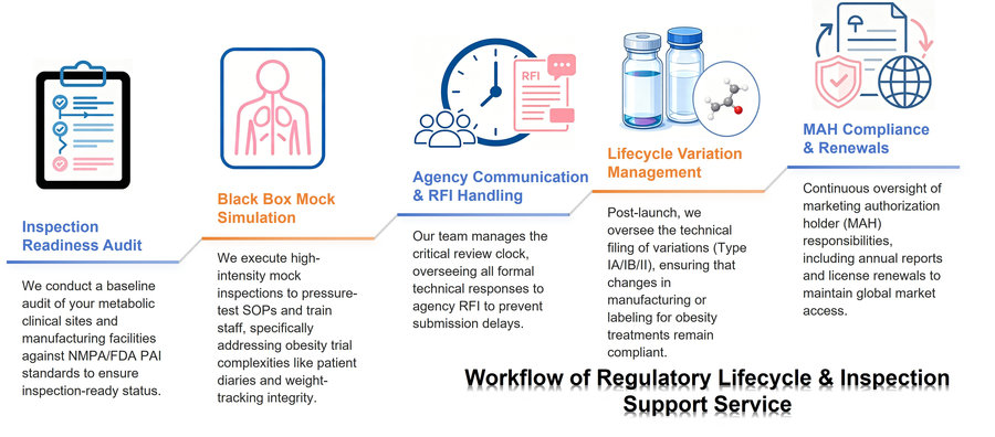 Our clinical development strategy & medical writing service flowchart. (Protheragen)