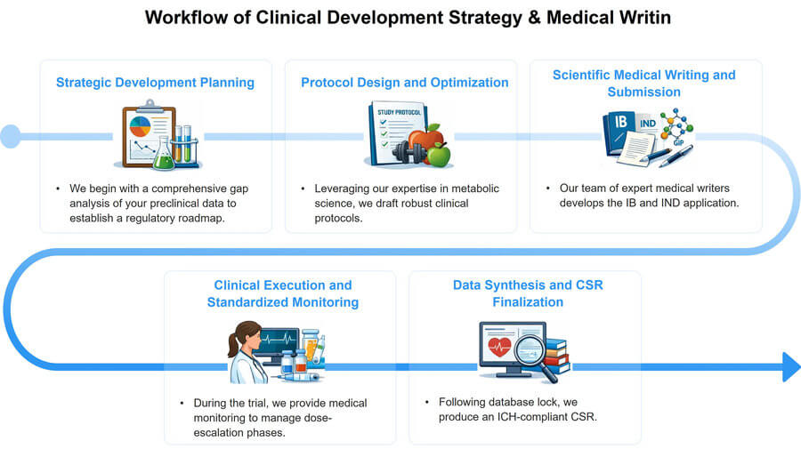 Our clinical development strategy & medical writing service flowchart. (Protheragen)