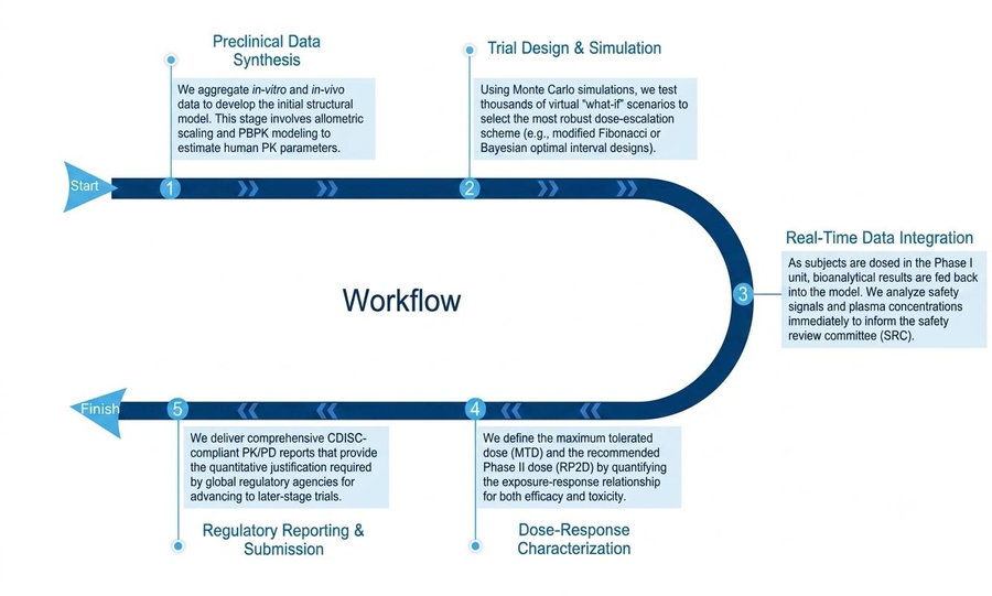 Process of our PK/PD modeling & dose escalation. (Protheragen)