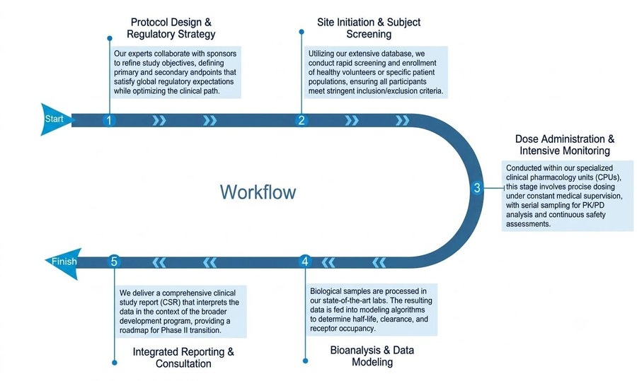 Process of our early-phase clinical pharmacology service. (Protheragen)