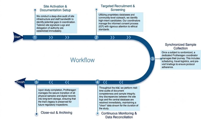 Process of our clinical sample & document management service. (Protheragen)